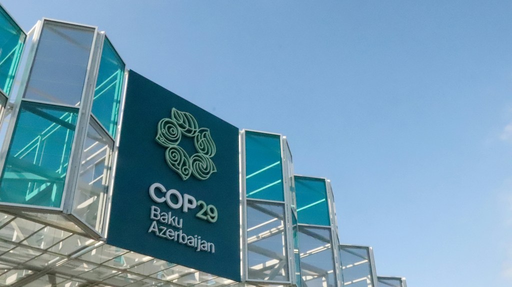 COP29 Changes What?